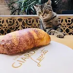 Луксозна вила Luxury Giardino Lozenetz *