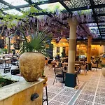 Luxury Giardino Lozenetz Лозенец